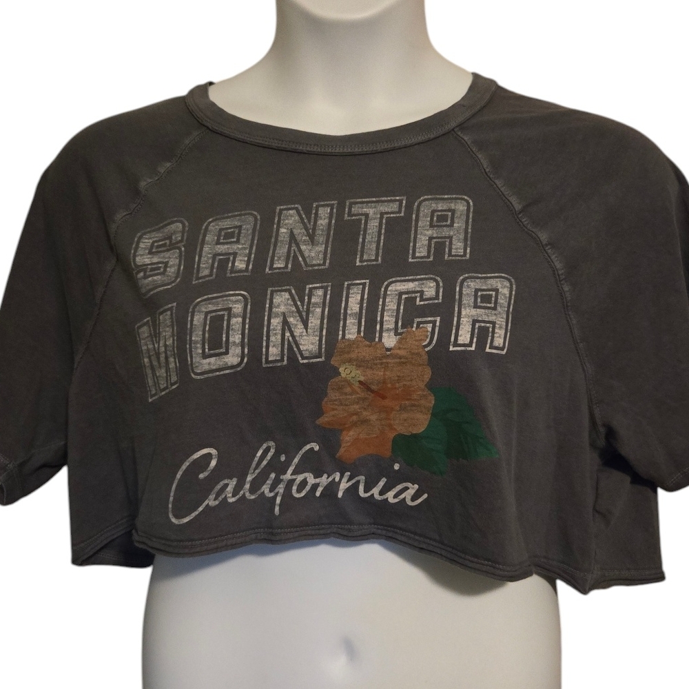 Gray Santa Monica Crop Top